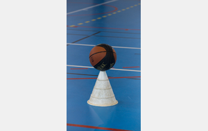STAGE VACANCES DE LA TOUSSAINT (5 €)